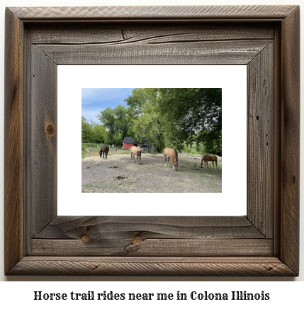 horse trail rides near me in Colona, Illinois